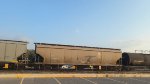 IC 799453